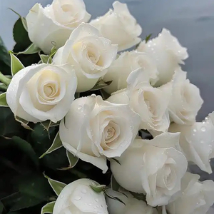 Someone in the Roses