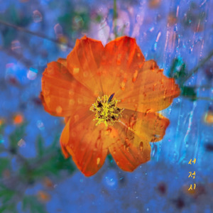 너에게 감싸이다