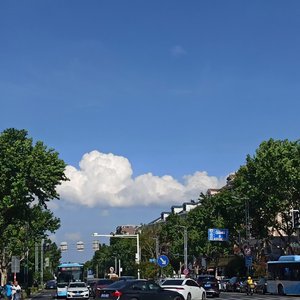 绿洲（cover 绿洲）