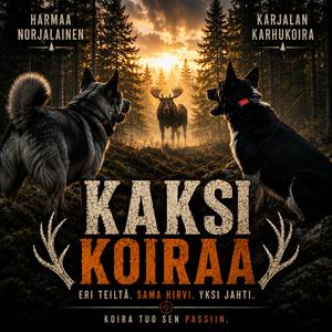 Kaksi koiraa