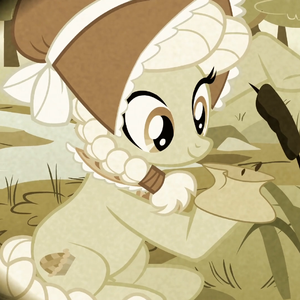 The History of Ponyville