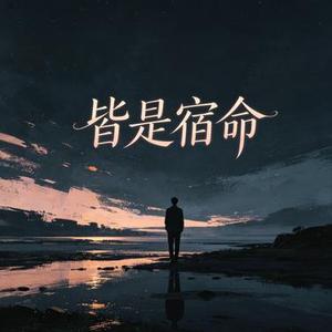 皆是宿命