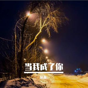当我成了你