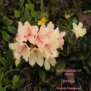 ТЫ УХОДИШЬ ОТ МЕНЯ