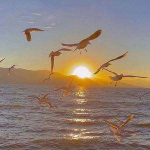 你的眼里皆是星辰