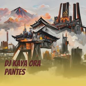 Dj Kaya Ora Pantes