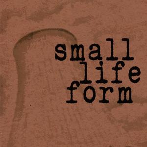 Between Sunlight & Starlight