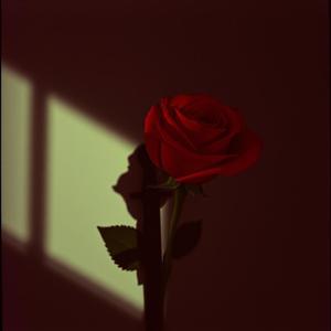 Complicated (feat. Spot)