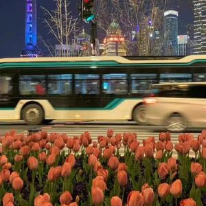 把回忆拼好给你（0.8速）