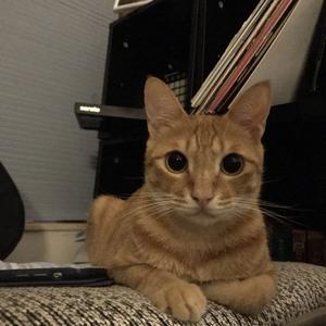 AlvinChow DJ TING-一樓听众 Vol.1（AlvinChow DJ TING Remix）