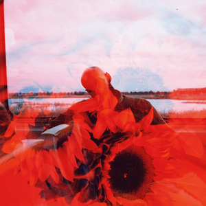 POISON Sped Up (Love Me Not Remix)