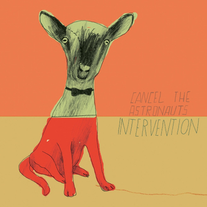 Intervention
