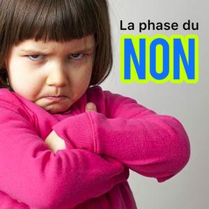 La phase du NON