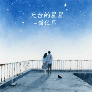 天台的星星