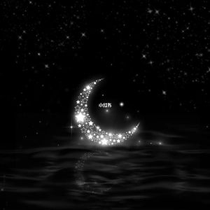Echoes of Dawn