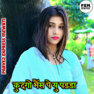 कुदगो भैंस पे यु पडडा