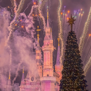 我们不是春季限定，你就是我的春天