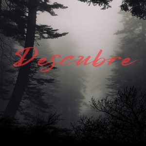 Descubre