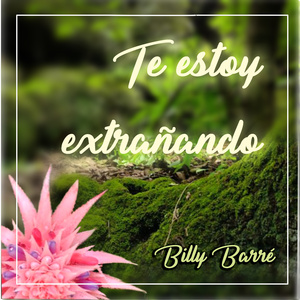 Te estoy extrañando