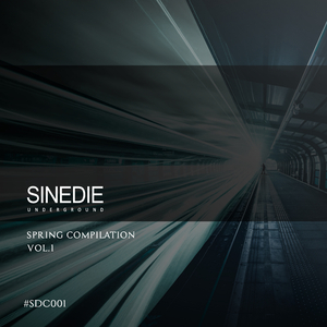 Wharever (Original Mix)