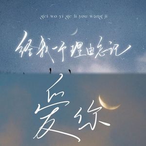 en - 给我一个理由忘记&爱你（TokBinL Mix）