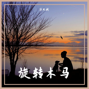 旋转木马
