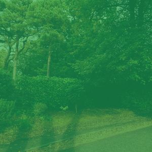 一尘不染吃印象数
