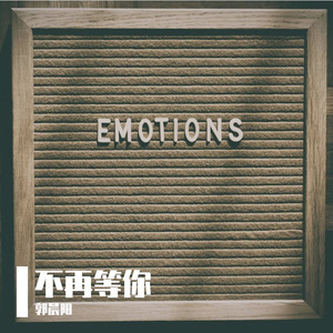 不再等你