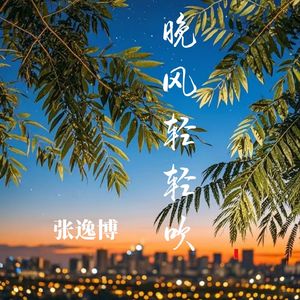 晚风轻轻吹（吉他弹唱）