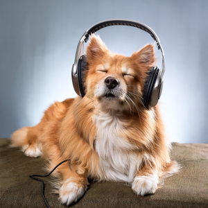 Gentle Heart In Every Breath