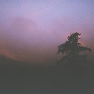 I Always Wanna Die (Sometimes)