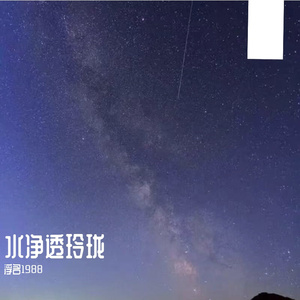 远树隐霞容