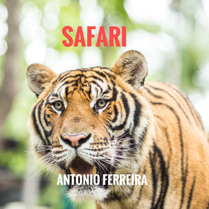 SAFARI