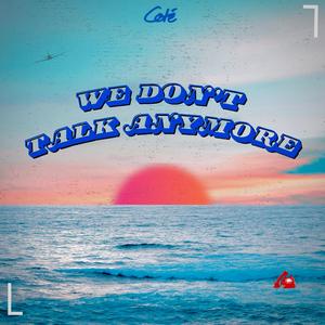 We Don't Talk Anymore