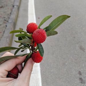 你的柔情我永远不懂