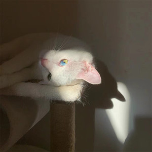 陪我看一次海吧