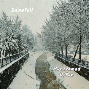 Snowfall