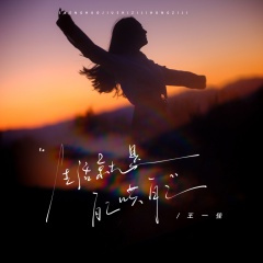 生活就是自己哄自己 (DJ范小松版)