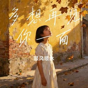 多想再见你一面 (Cover 烟嗓船长)