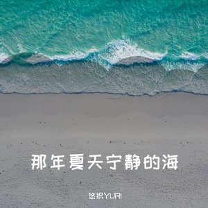 那年夏天宁静的海
