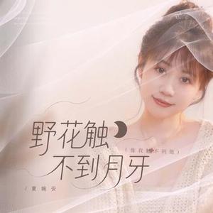 野花触不到月牙 (像我触不到他) - 节奏版