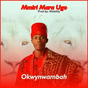 Mmiri Mara Ugo
