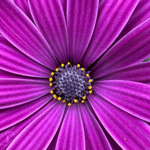 Mehr als nur Freunde