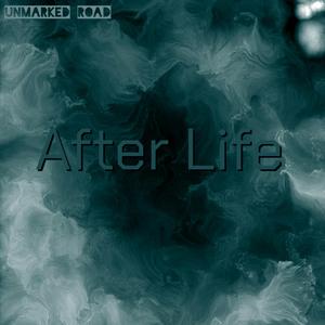 Afterlife