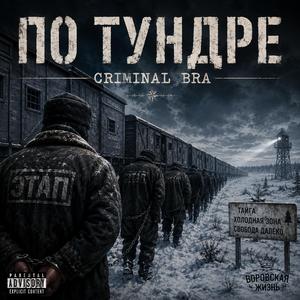 По тундре
