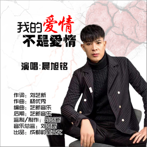 我的爱情不是爱情 (伴奏)