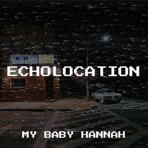 Echolocation