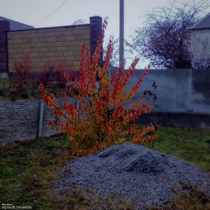 Эра анонимусов (feat. Soda Krais)