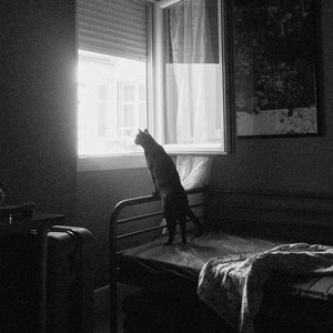 Ghost in My Bedroom