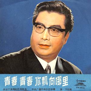 青春，青春，你飘向哪里——连斯基的咏叹调